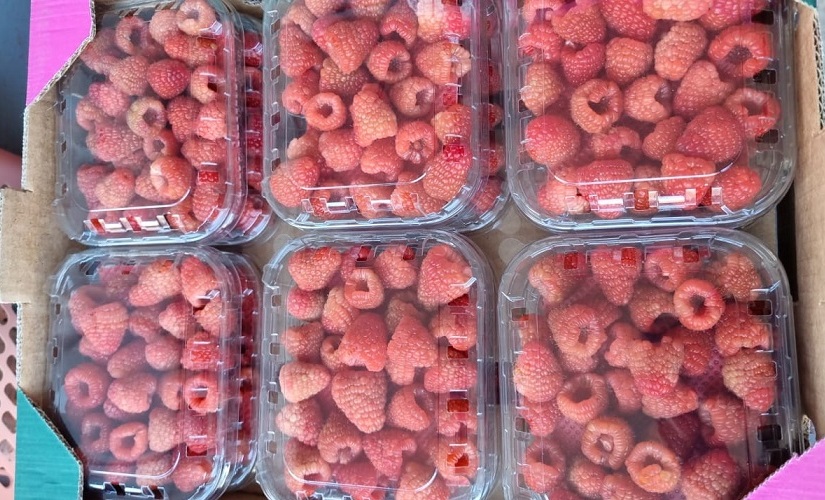 Raspberries